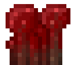 Nether Wart